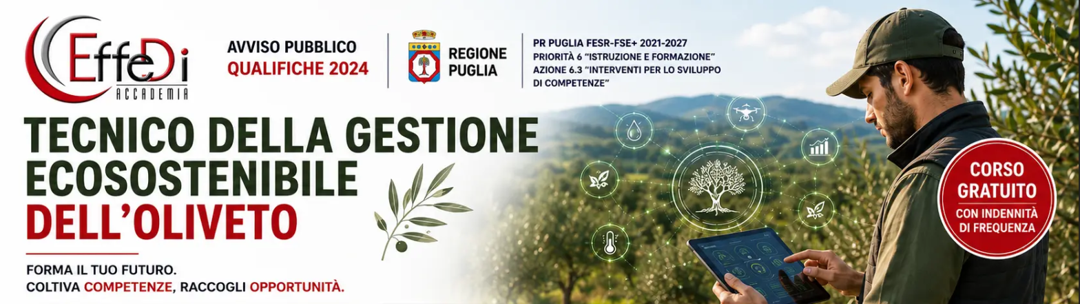 Tecnico della gestione ecosostenibile dell'oliveto